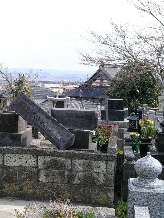 ڍ׉摜